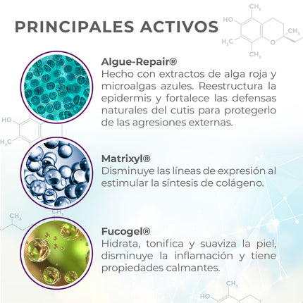 Crema Dia Antiedad Science Advance, Dermatológica