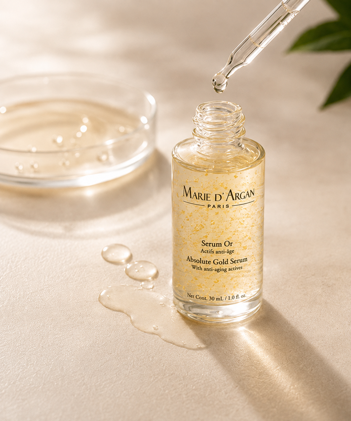Marie d´Argan